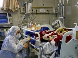 عدد الاصابات بفيروس كورونا في مدينة اربد الاردن